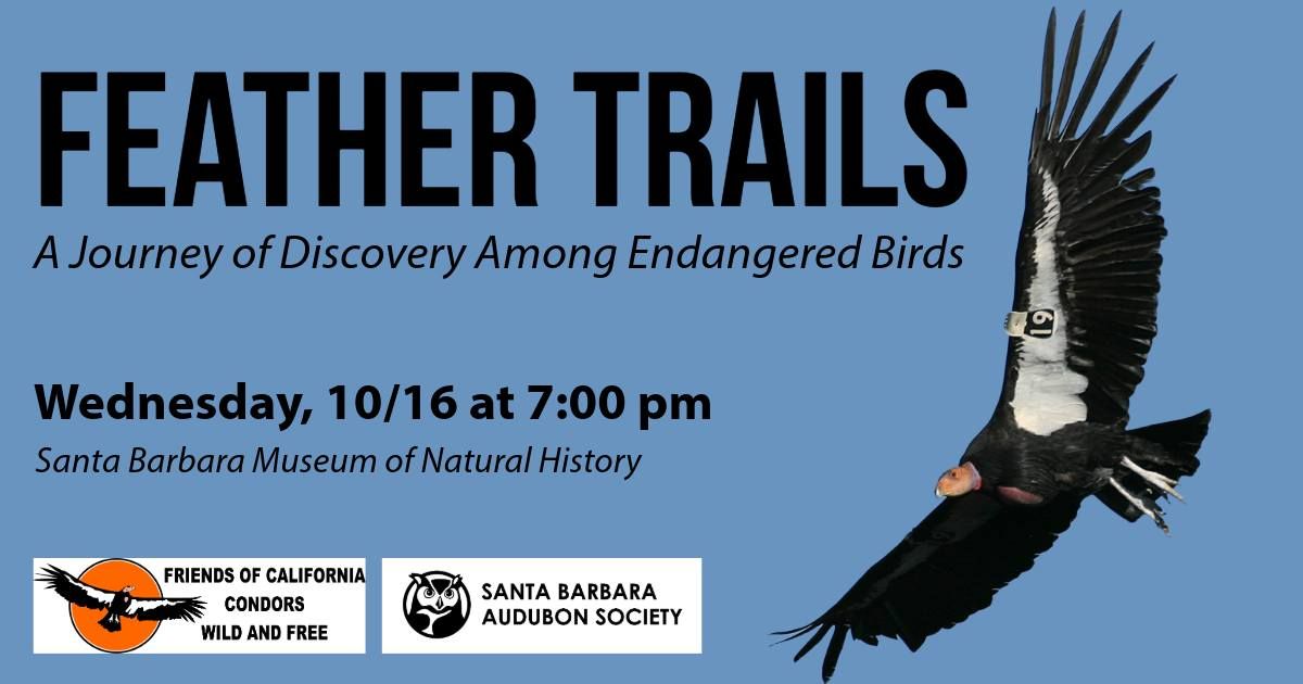 Feather Trails: A Journey of Discovery Among Endangered Birds