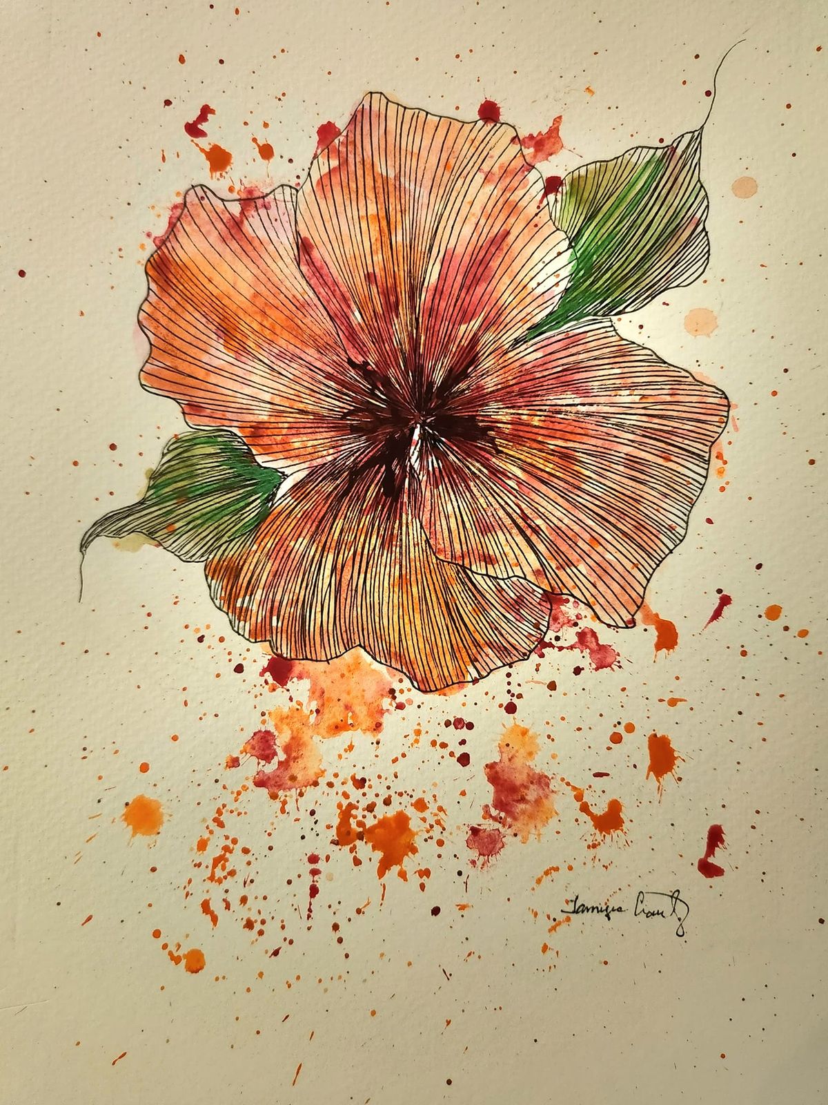 Hibiscus Pen\/ Ink Watercolor