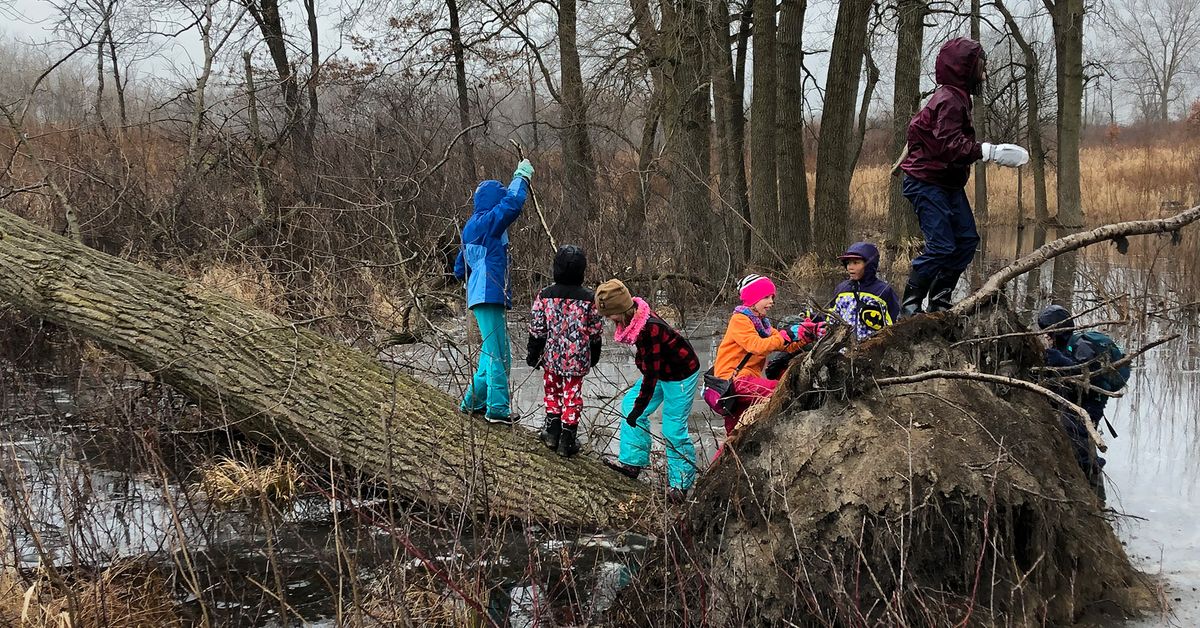 Connecting Kids with Nature