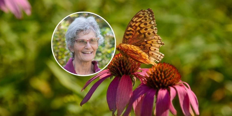 Winter Lecture Series: Birds, Bees, and Butterflies