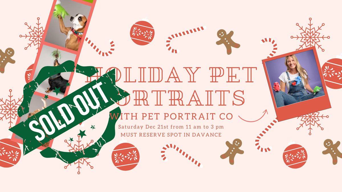 Holiday Pet Portraits