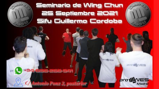 Seminario de Wing Chun | Destreza Madrid