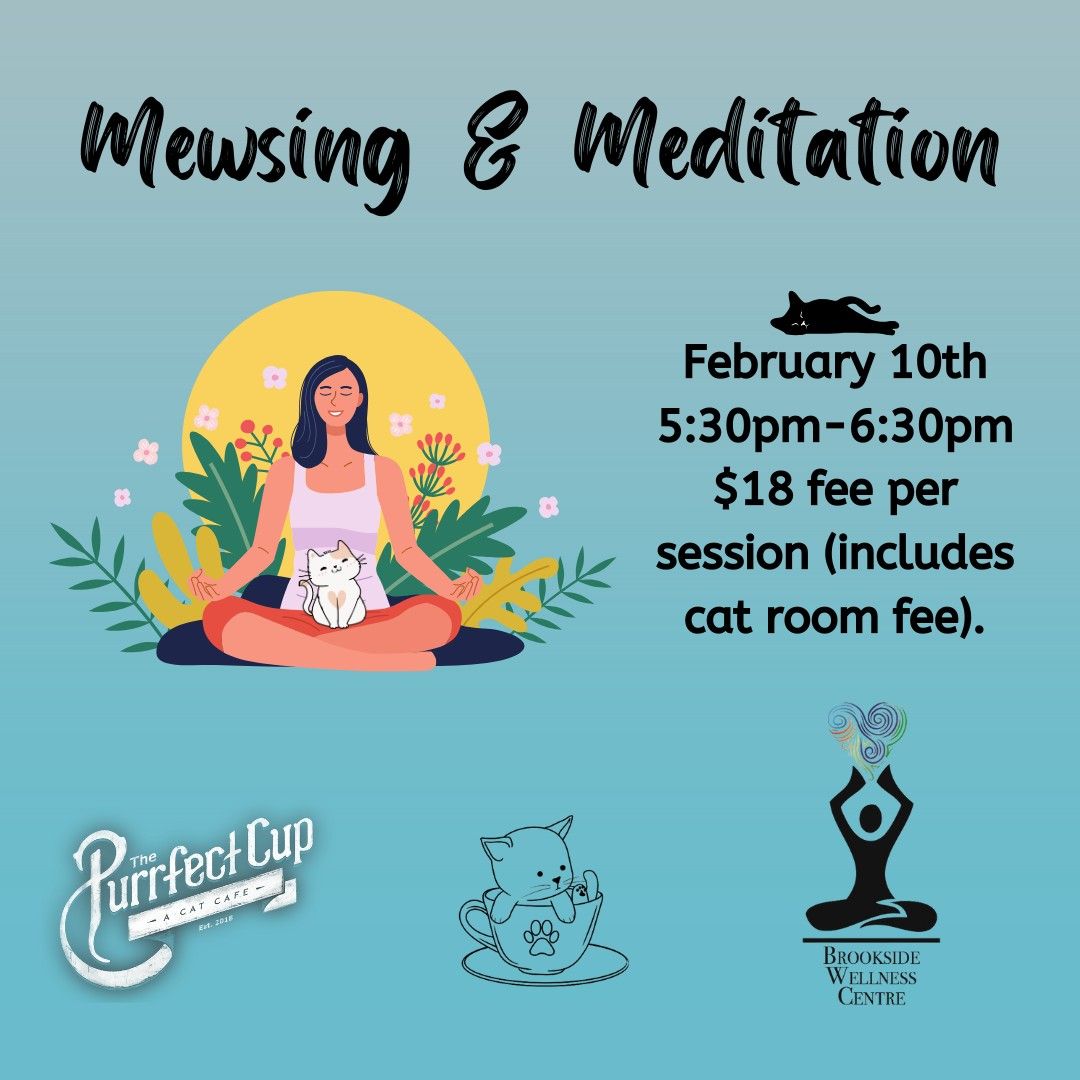 Mewsing & Meditation with Purrfect Cup and the Brookside Wellness Centre