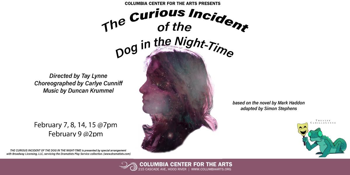 The Curious Incident of the Dog in the Night-Time