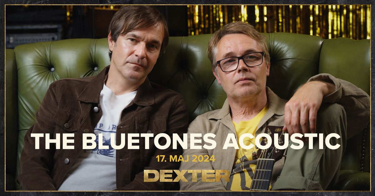 The Bluetones (UK) Acoustic - Dexter, Odense