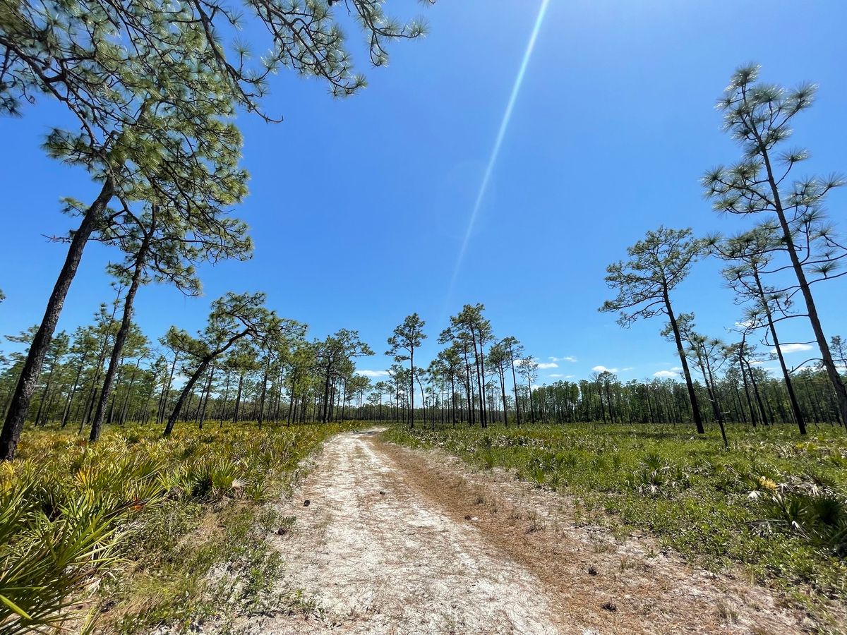 Into the Wild: Escape to Nature Single-Day Camp at Jay B. Starkey Wilderness Park 