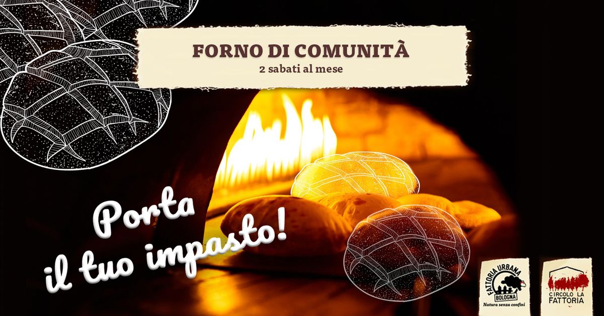 ??Il forno di comunita\u0300 in Fattoria Urbana!