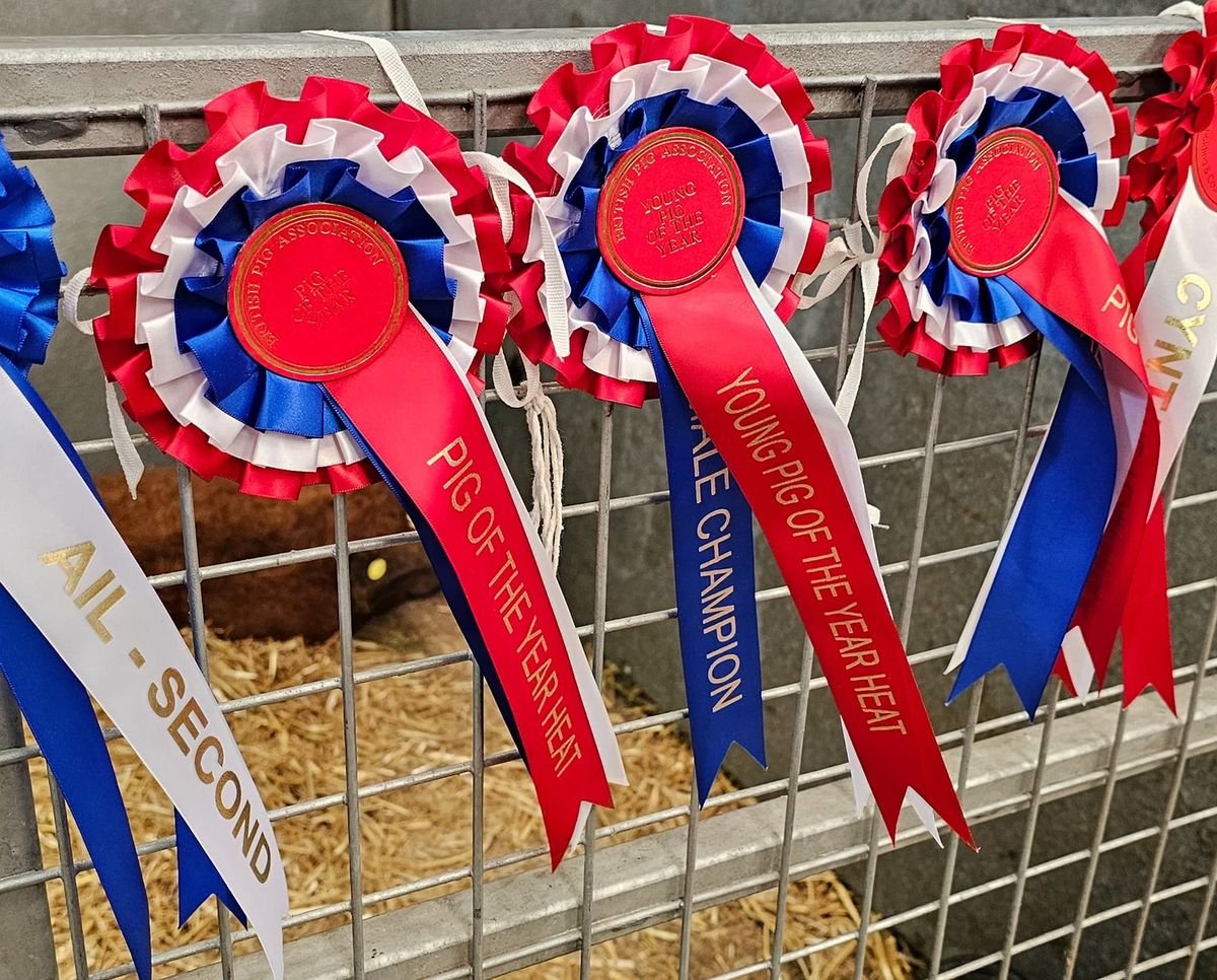 Royal Cheshire County Show 