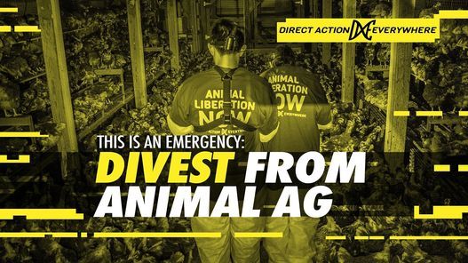 This is an Emergency: Divest From Animal Agriculture