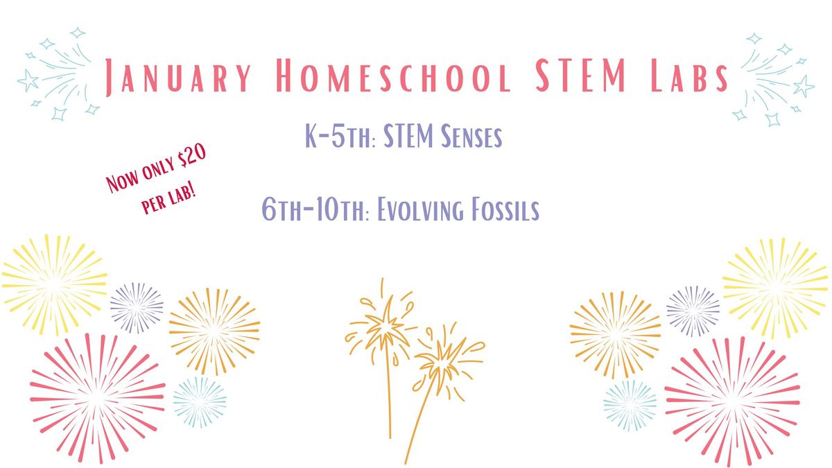 Homeschool STEM Labs K-10th Grade