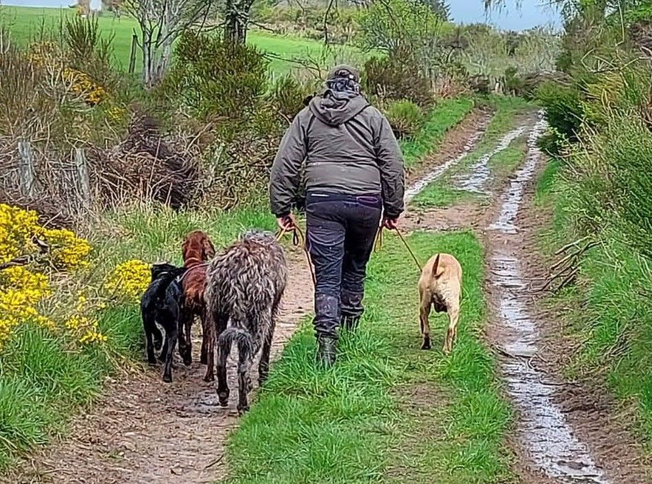 Loose Lead Workshop - Banchory