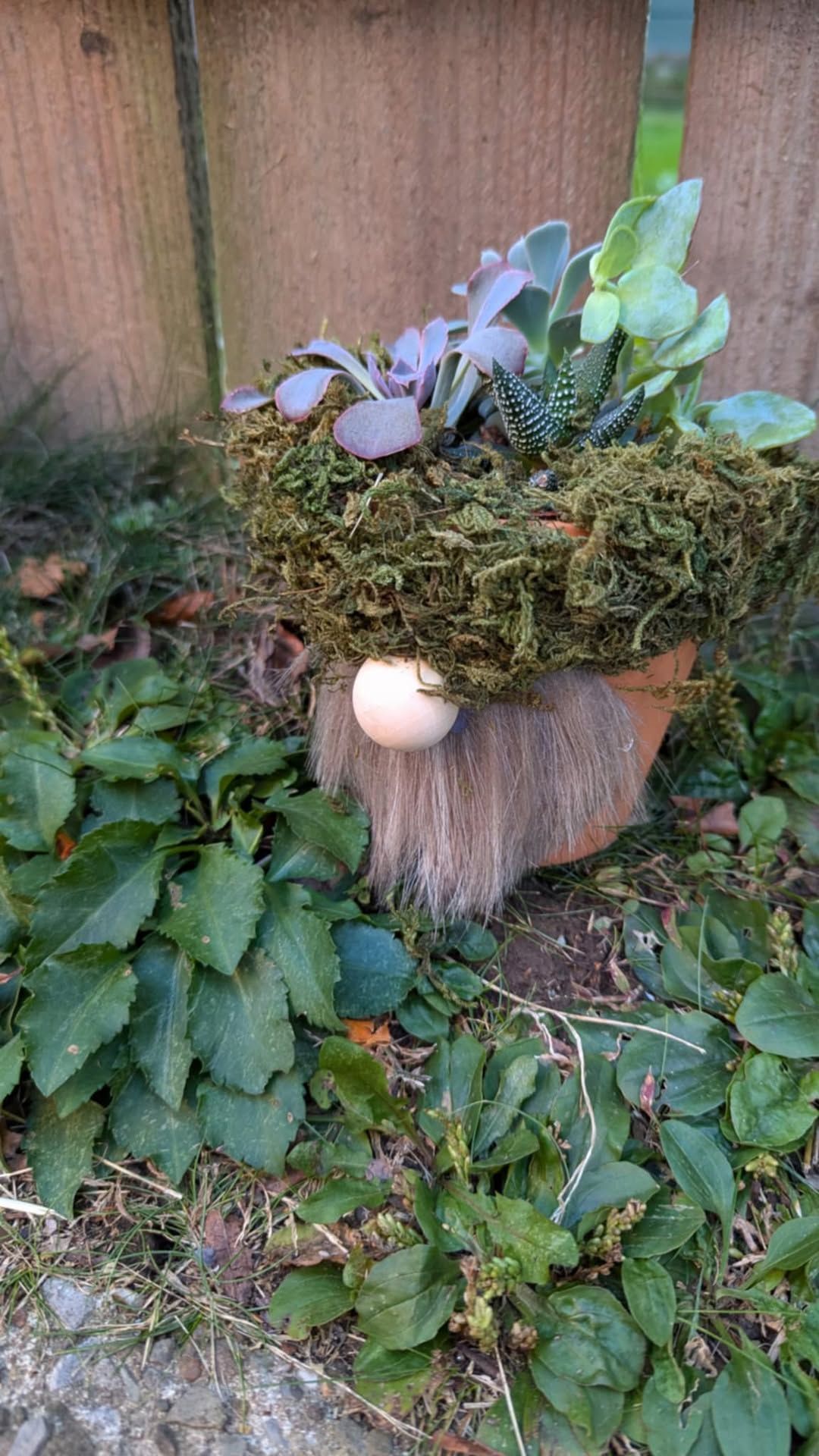 Gnome Garden Workshop at Aquillbella Boutique