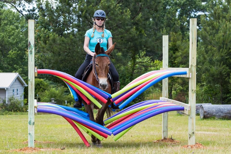 Donegal Farm Obstacle Play Day, 1, 4249 Boyd Rd, Douglasville, GA