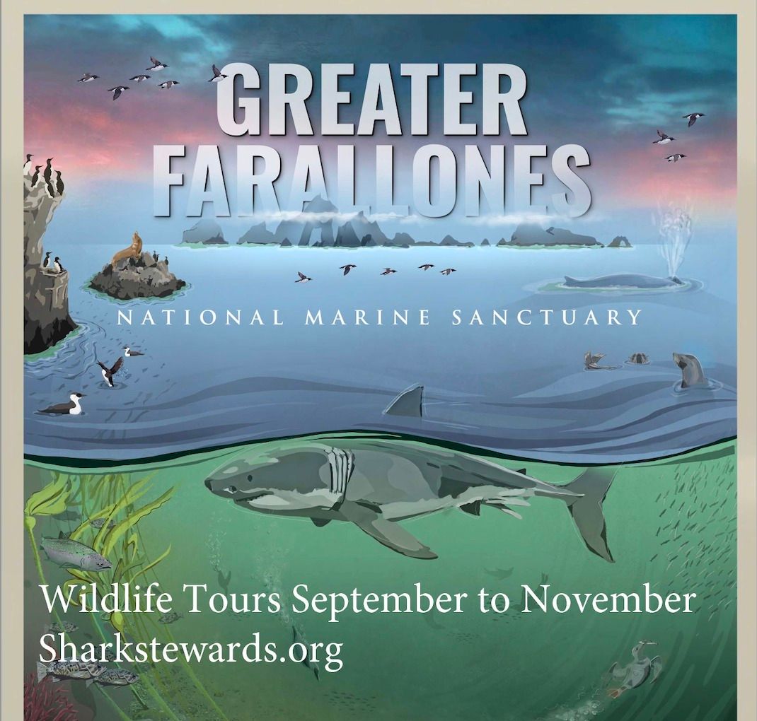 Sharktober Farallon Islands Wildlife Tours