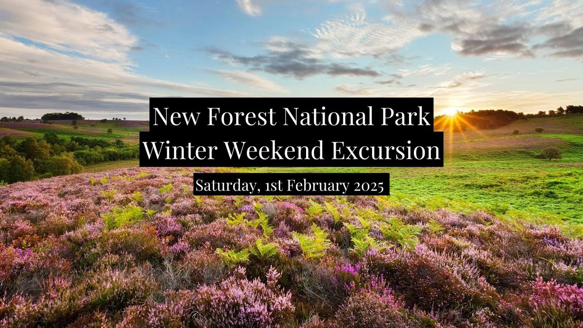 New Forest National Park Horseback Trail Ride & Nature Hikes (from Hampshire)