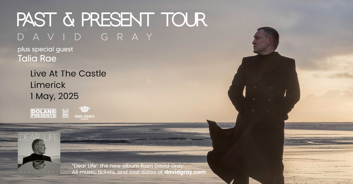 David Gray - On Sale Friday 10am