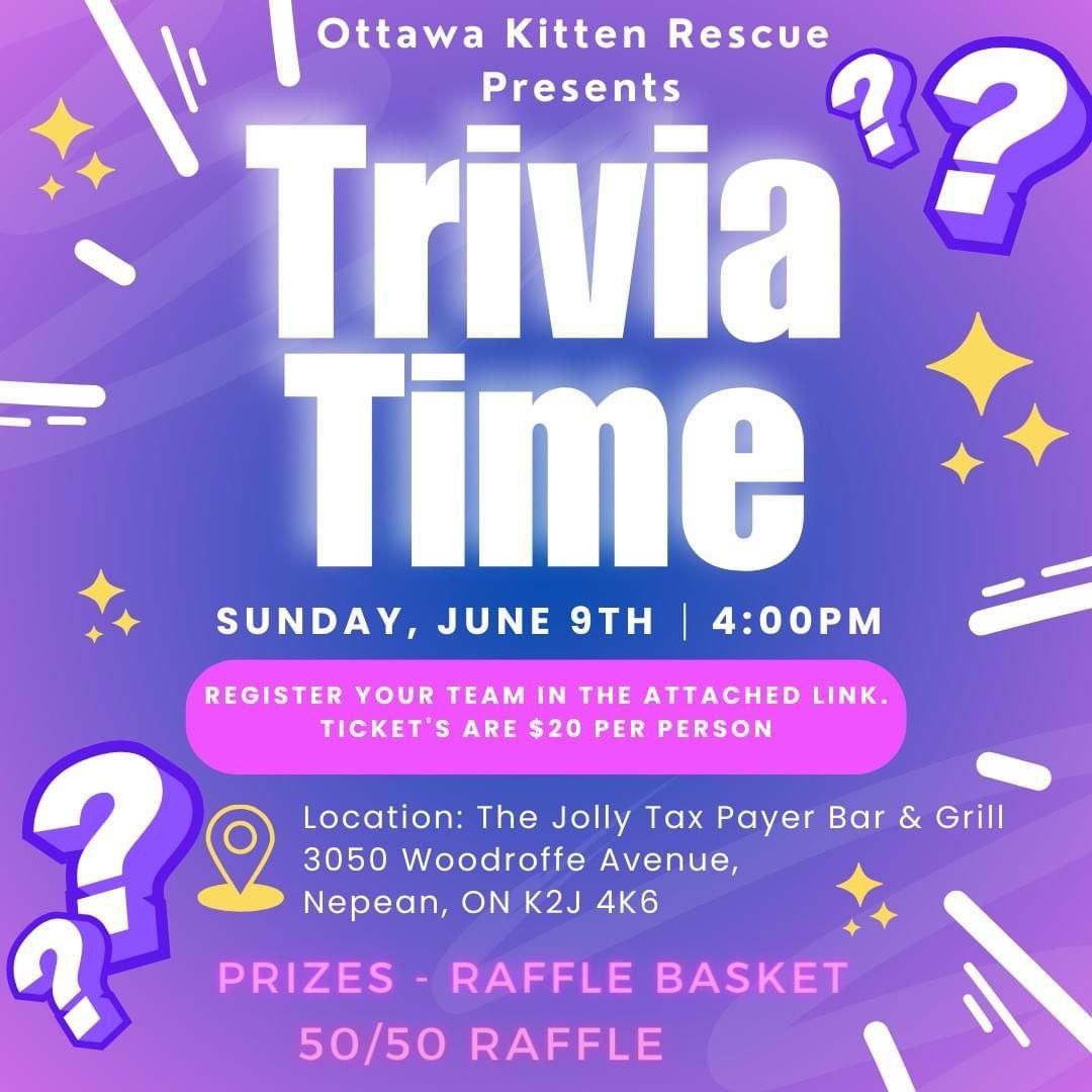 Trivia with Ottawa Kitten Rescue