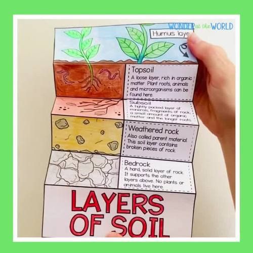 Soil safari-(ages 6-8)