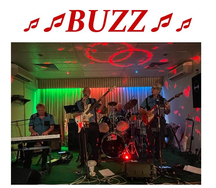 Buzz Function Band