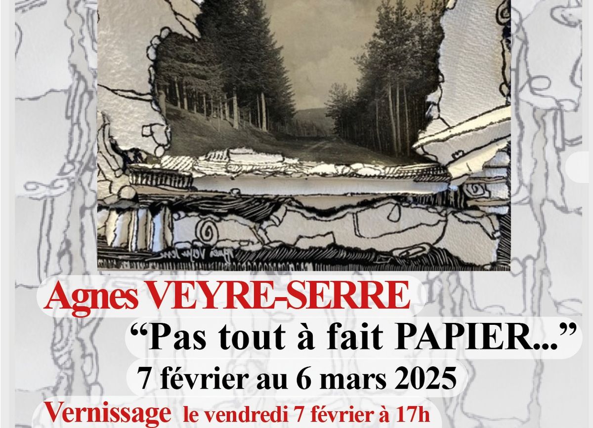 Exposition d\u2019Agn\u00e8s VEYRE-SERRE \u00ab Pas tout \u00e0 fait PAPIER... "