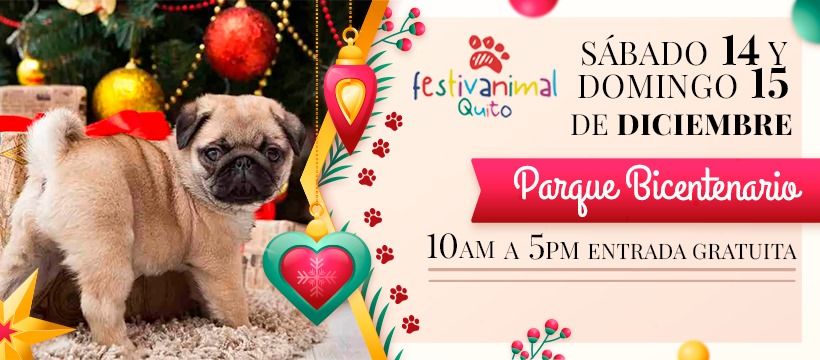 Festivanimal Quito , edicion Navidad 