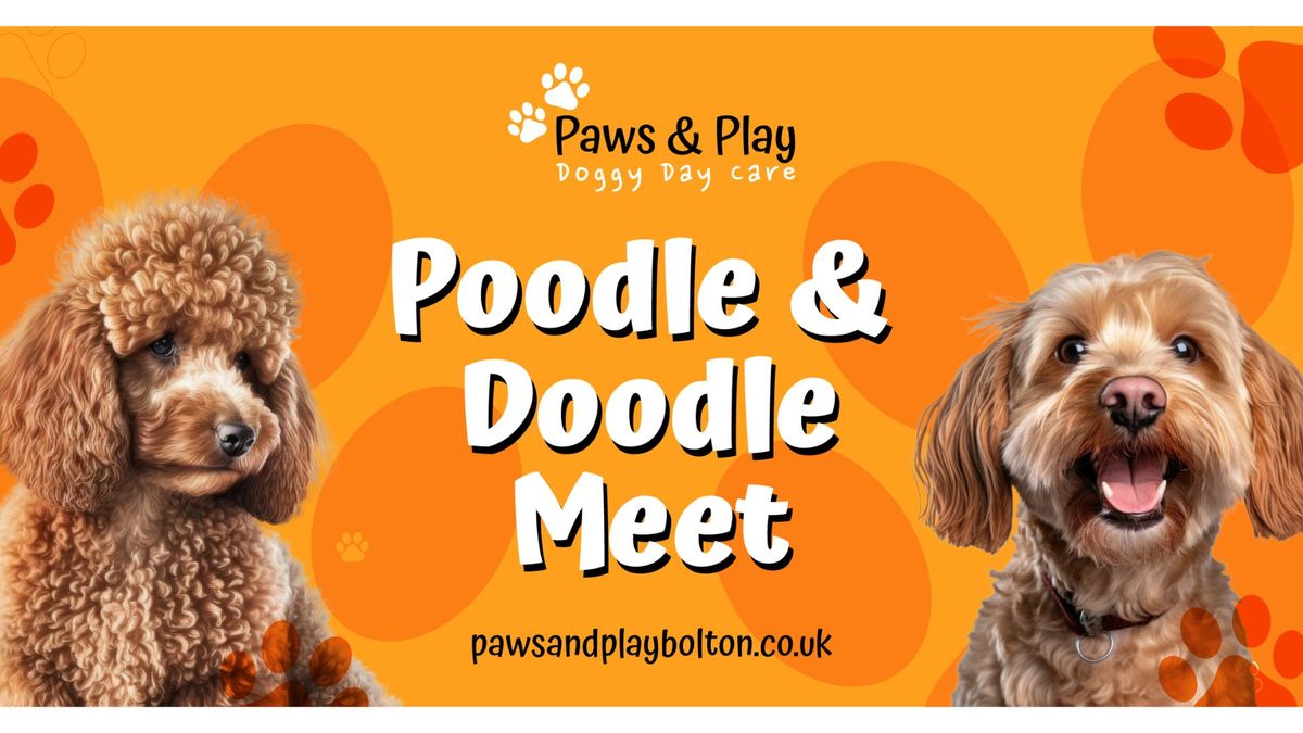 Poodle & Doodle Meet