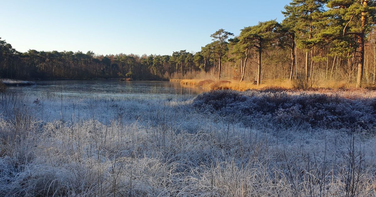 Rondje (17 km) Oisterwijkse Bossen en Vennen - AANMELDEN NIET MEER MOGELIJK