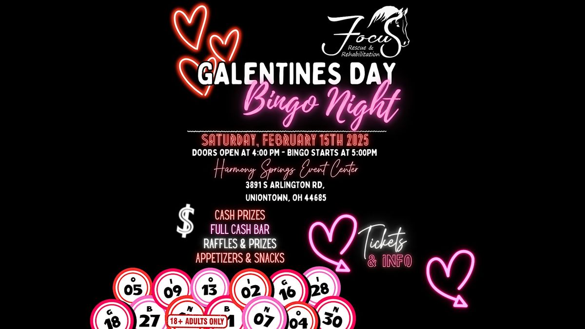 Galentine's Day R-Rated Bingo Night Fundraiser