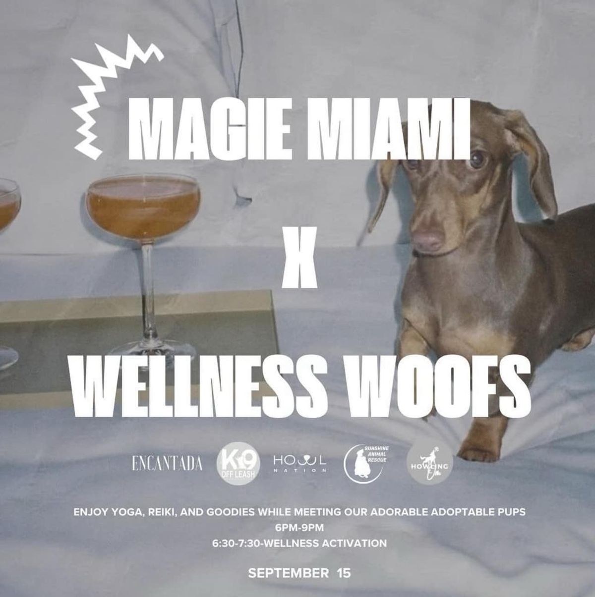 Paws, Pose, Yoga, Reiki, and Goodies at Maggie Miami with Wellness Woofs