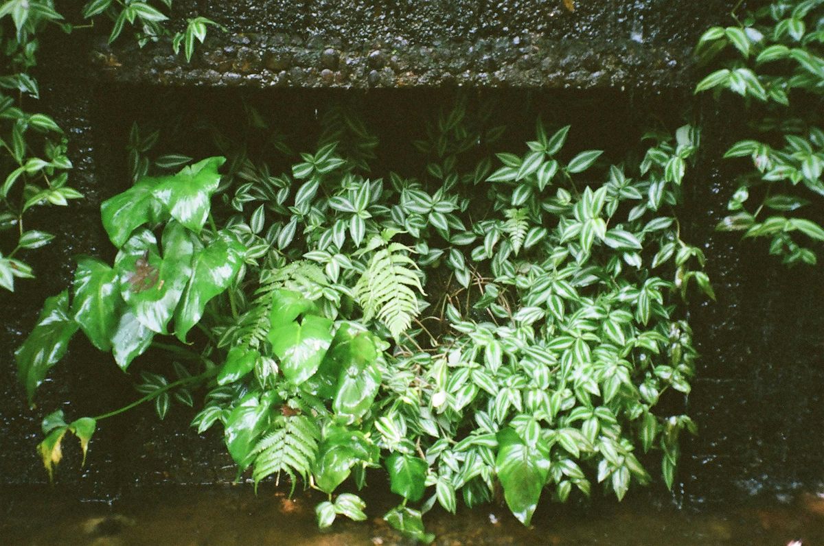 Copper Metalwork: Natural Forging with Adriana Velez Villase\u00f1or