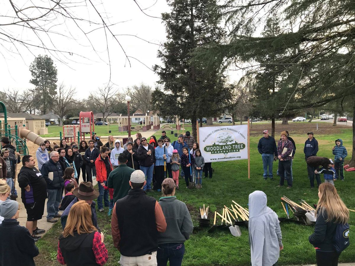 Beamer Elementary School Tree Planting 