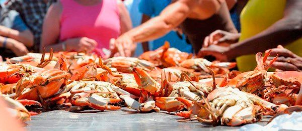 LowCountry Crab Crack & Oyster Roast