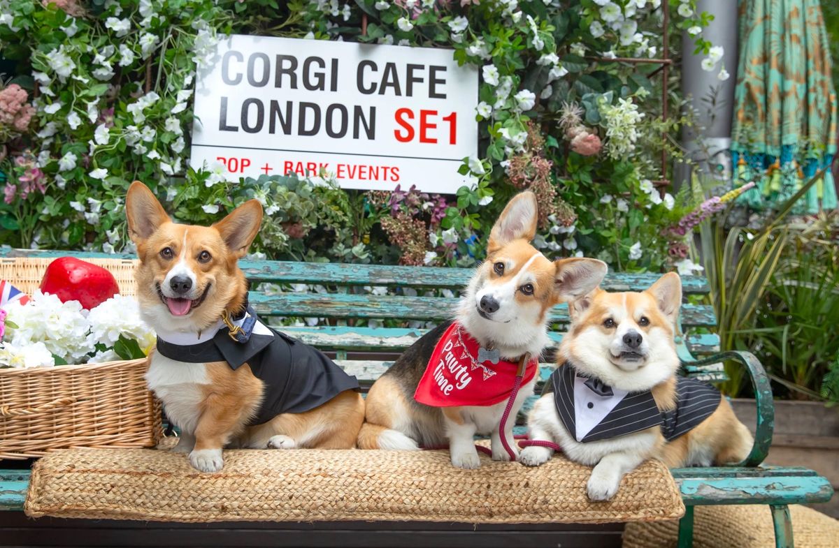 CORGI CAFE\u2122 LONDON - CHRISTMAS