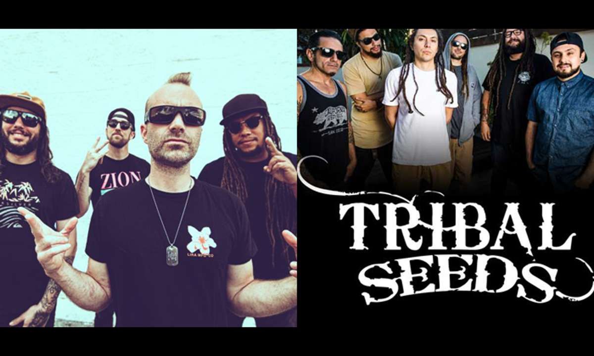 The Movement with Tribal Seeds