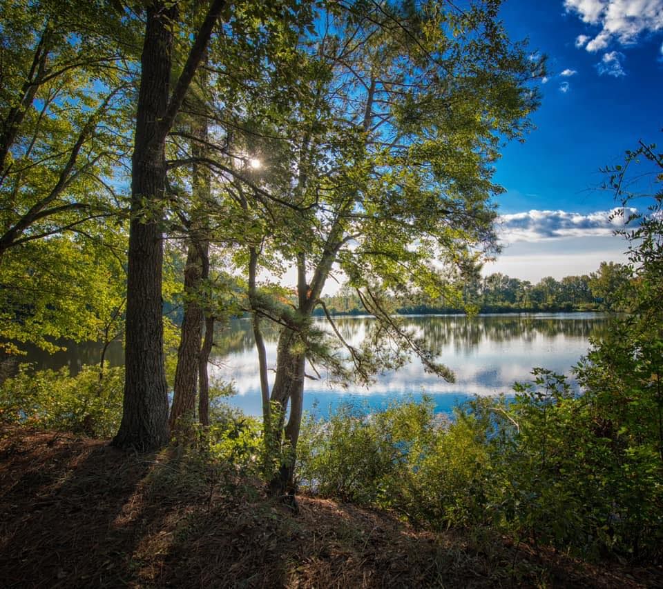 Bass Lake Fishing Contest