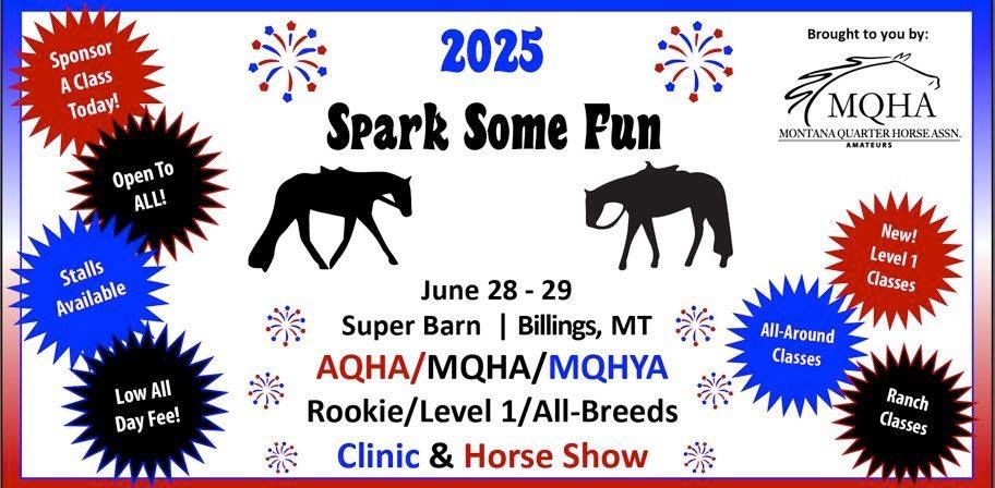 Spark Some Fun 2025