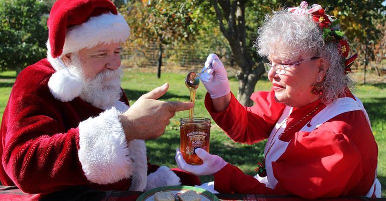 Santa at the farm!