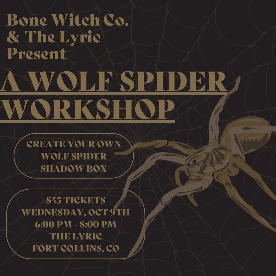 Broad Strokes Workshop Presents:Wolf Spider Pinning Workshop