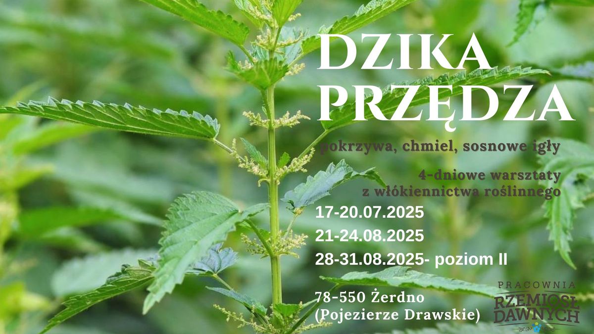 DZIKA PRZ\u0118DZA 2025