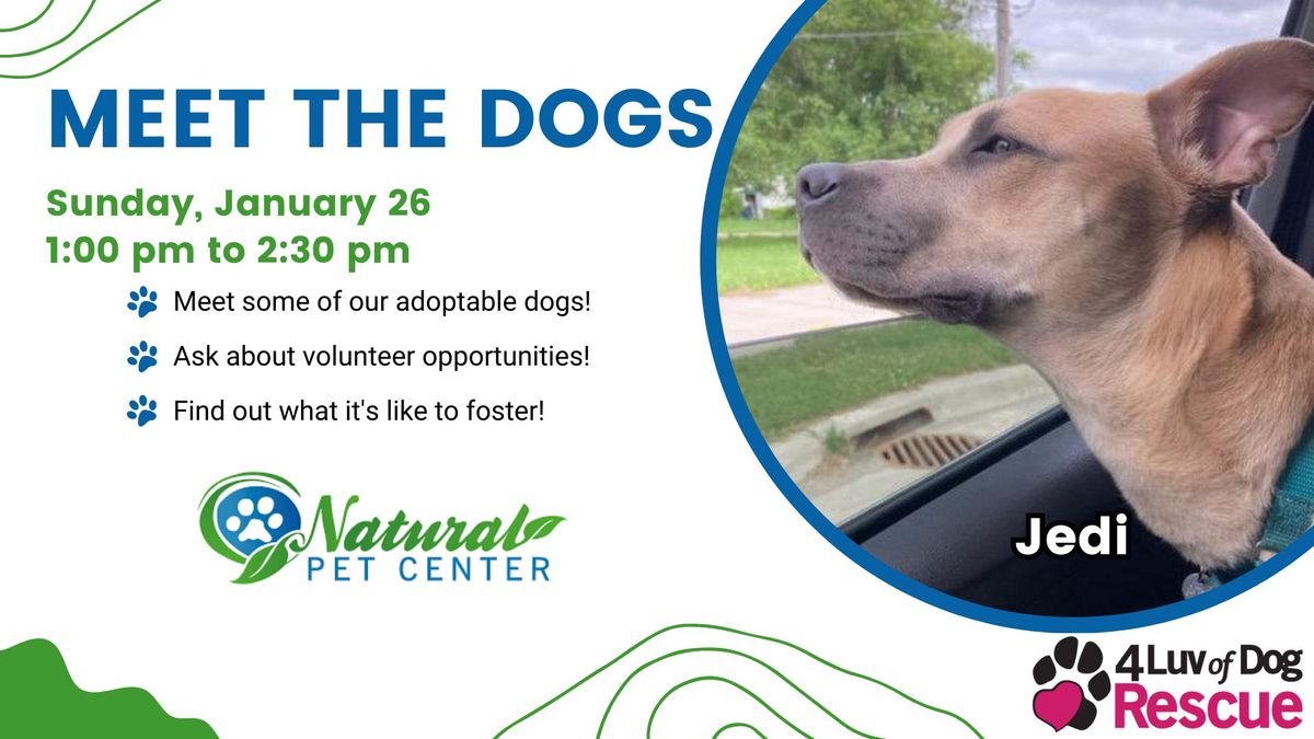 Meet the Dogs at Natural Pet Center 