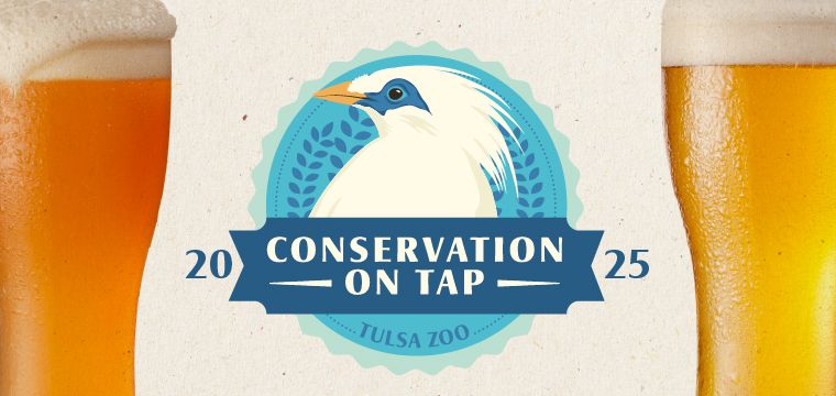 Conservation on Tap