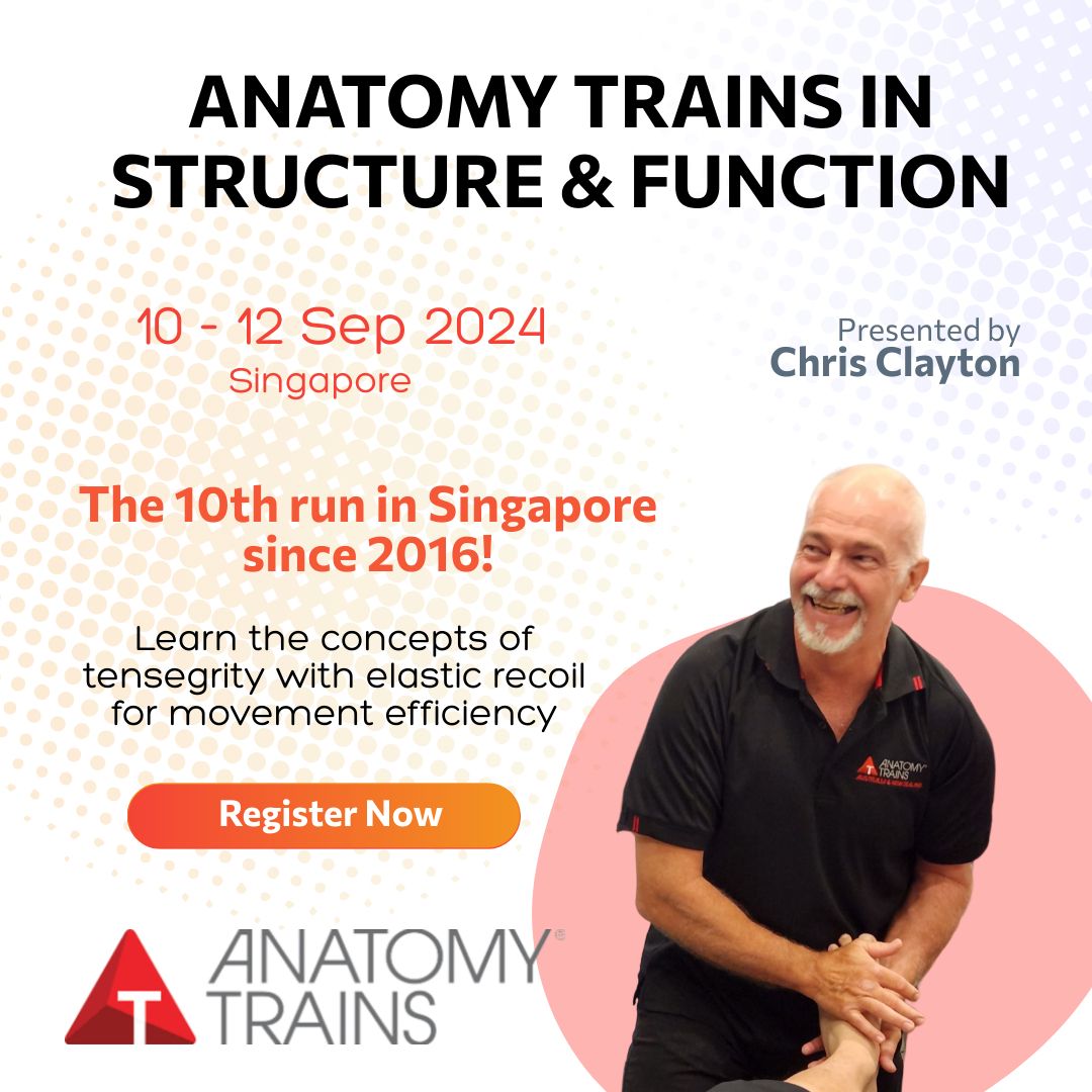 Anatomy Trains in Structure & Function