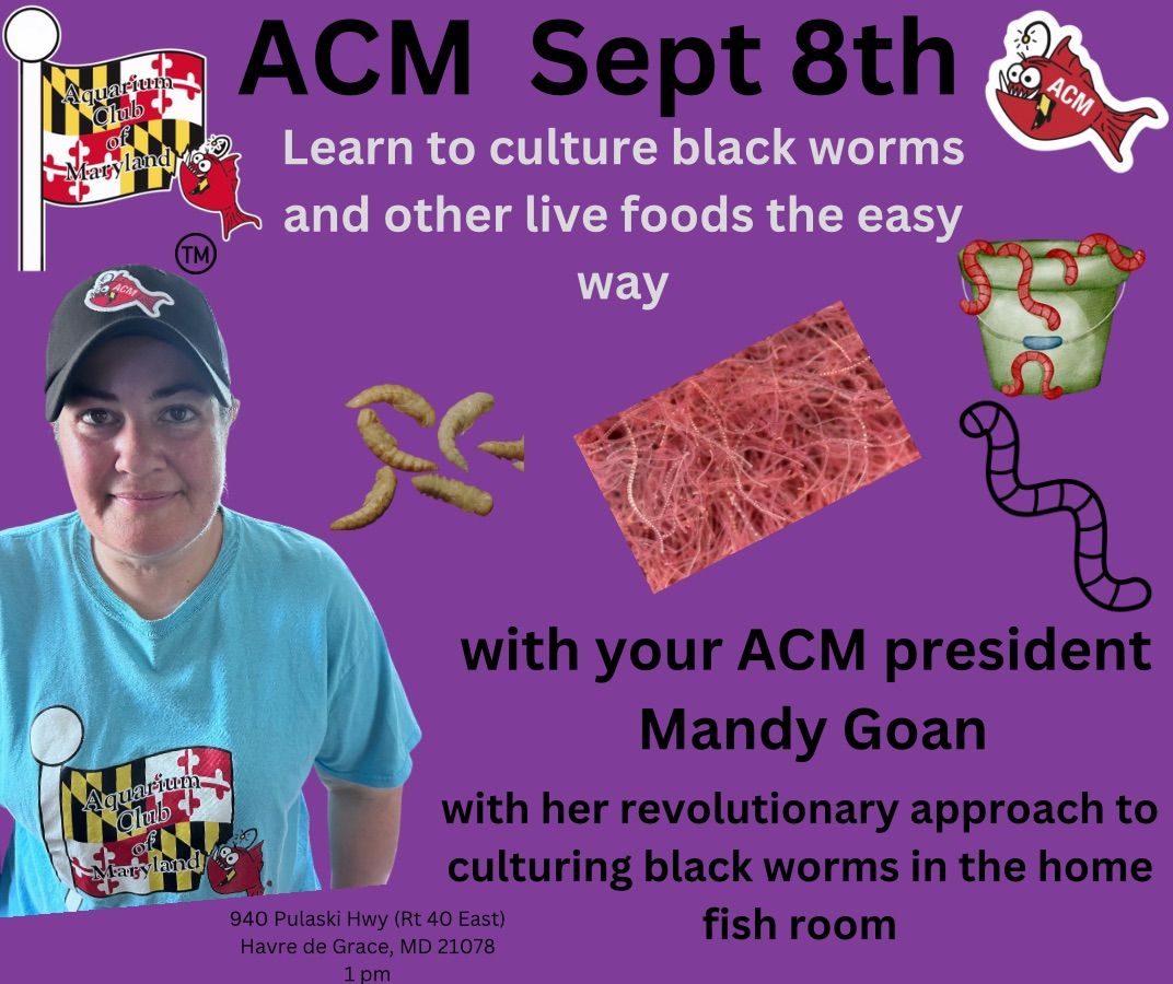 ACM September meeting 