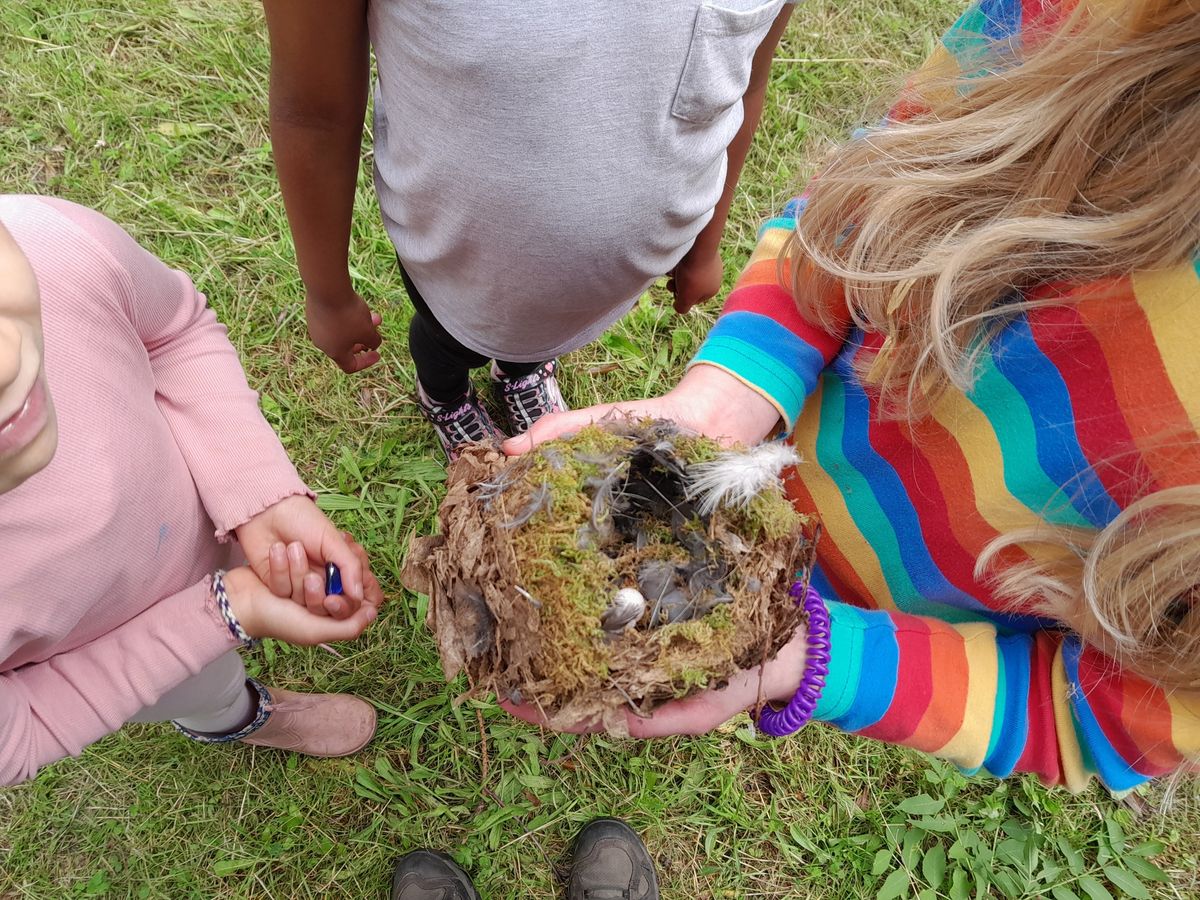Wild Nature Forest School Holiday Club