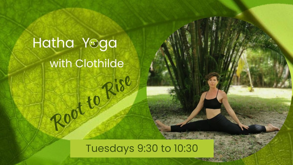 Hatha Yoga - Root to Rise