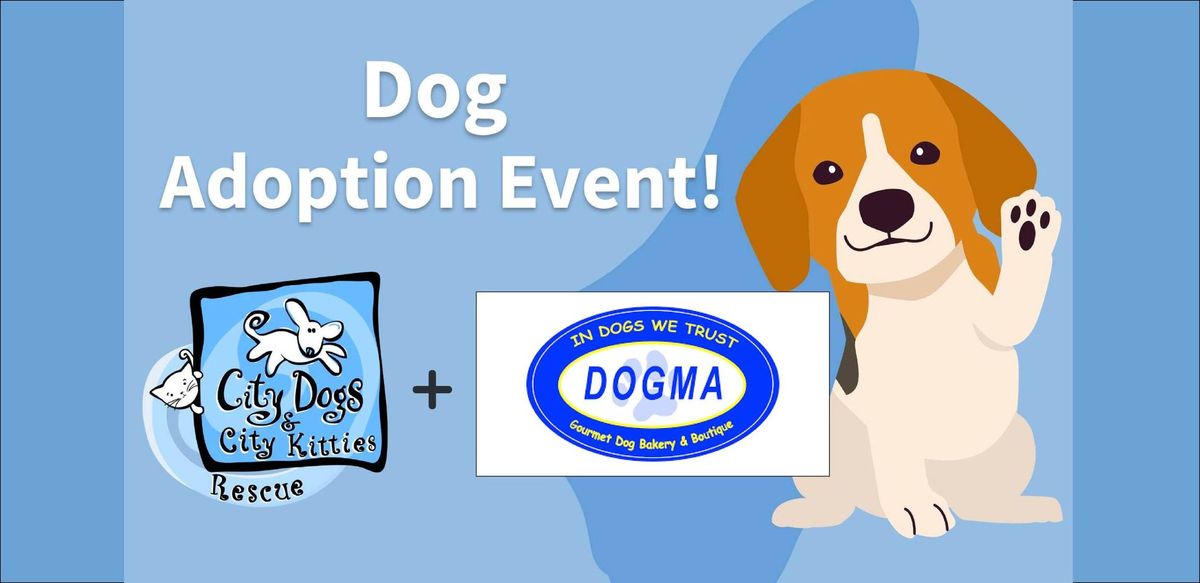 Dog Adoption Meet and Greet - Dogma Bakery