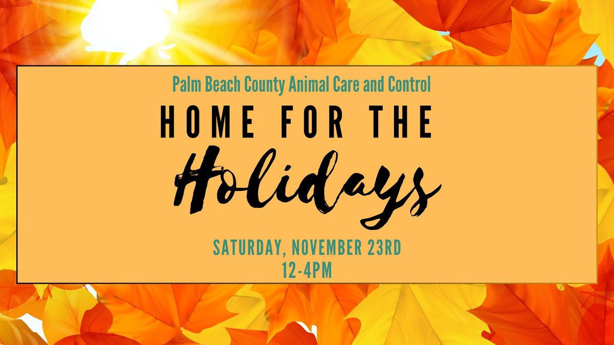 Home for the Holidays Adoption Event