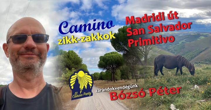 LVI. El Camino Party - Camino zikk-zakkok