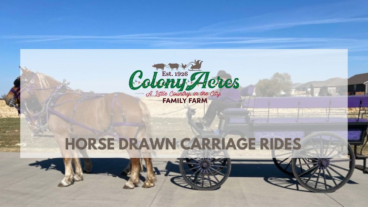 Horse Drawn Carriage Rides \ud83d\udc34\ud83d\udef7