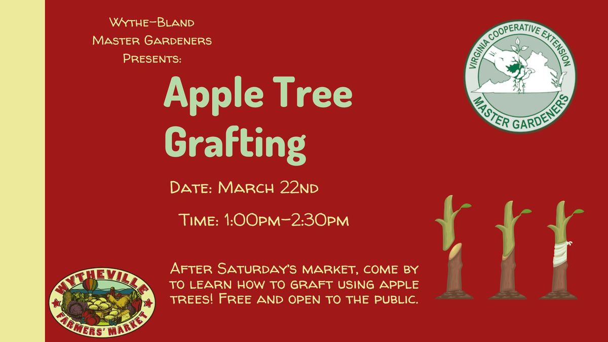 Apple Tree Grafting